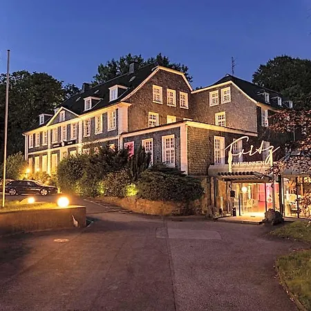 Parkhotel Fritz Am Brunnen Hotel 4*