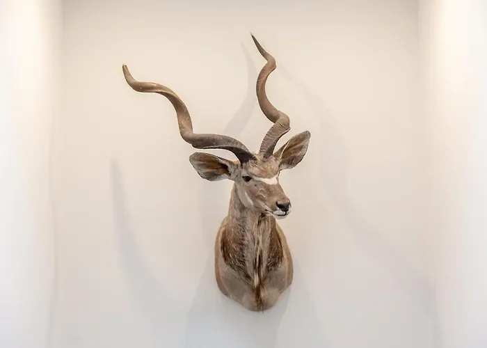 Parkhotel Fritz Am Brunnen